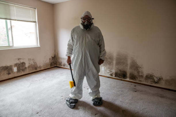 Best Post-Remediation Verification Testing  in Solon, IA